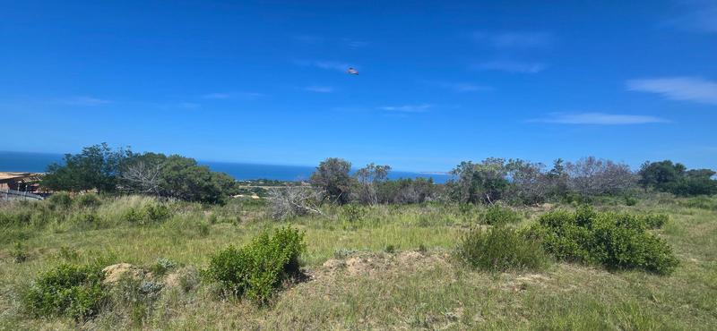 0 Bedroom Property for Sale in Groot Brakrivier Central Western Cape